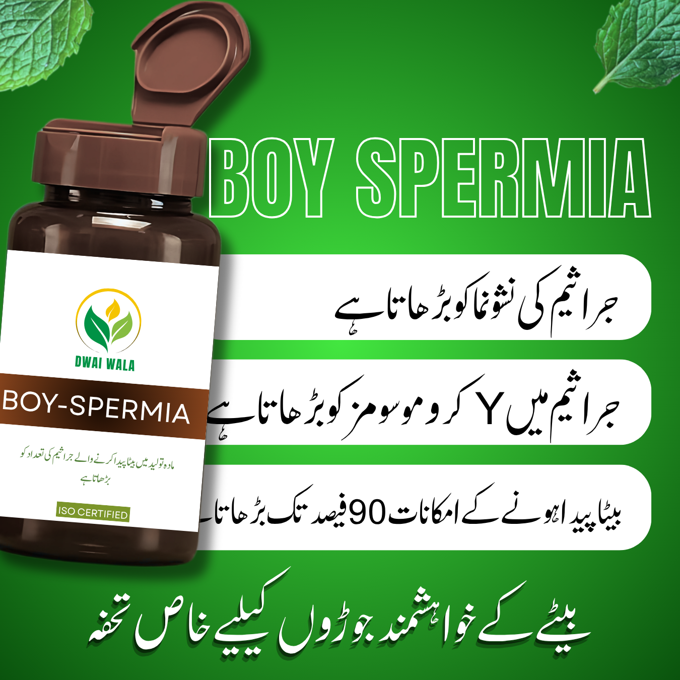 Boy Spermia: Herbal Supplement for Y-Chromosome Boost