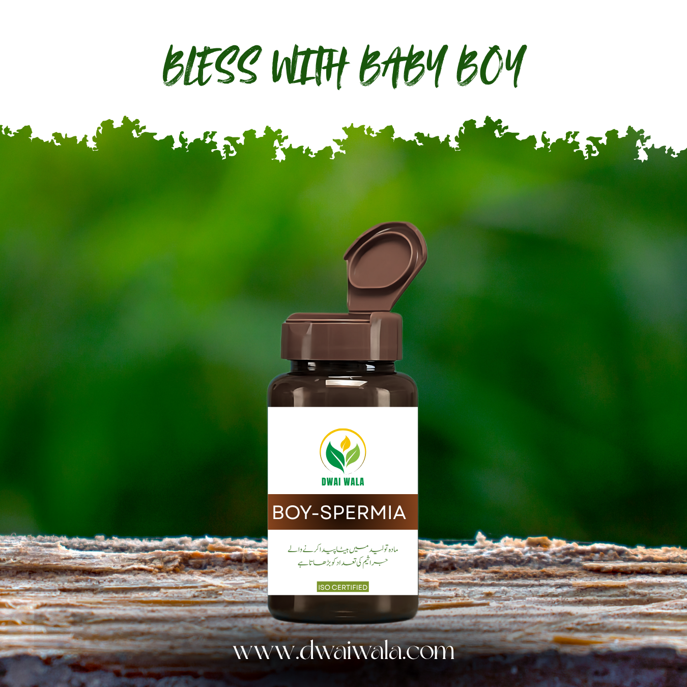 Boy Spermia: Herbal Supplement for Y-Chromosome Boost