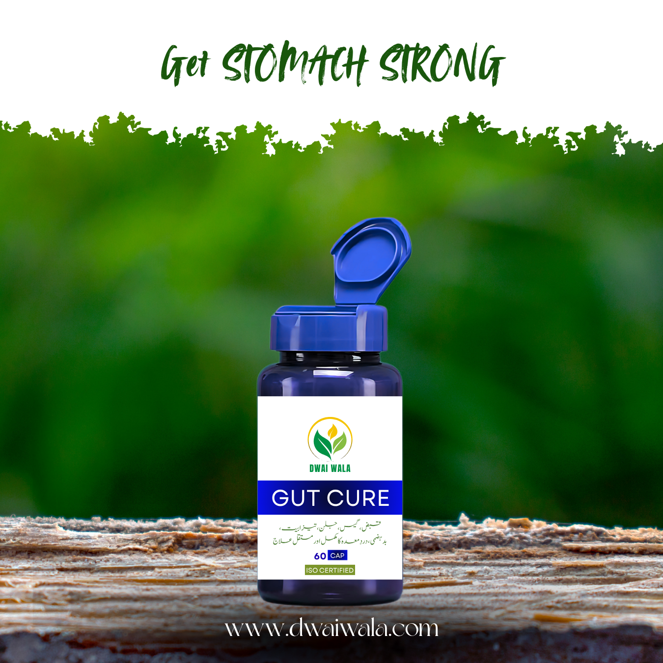 Gut Cure – Herbal Capsules for Acidity, Gas, Constipation & Digestive Wellness